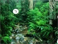 Gioco Escape from Amazon Forest
