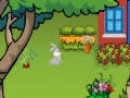 Gioco Crazy Garden Escape