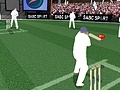 Gioco Cricket