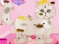 Gioco Persian cat princess spa salon