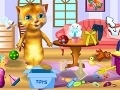 Gioco Ginger: Cleaning House