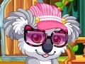 Gioco Star pupils: Pleasant koala