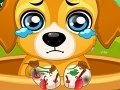 Gioco Paw Doctor
