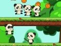 Gioco Panda Shock Troop 