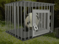 Gioco Baby Panda Escape 
