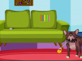 Gioco Dexter Dog Escape
