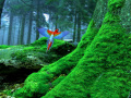 Gioco Birds Forest Escape