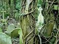 Gioco Highgate Cemetery Escape