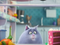 Gioco The Secret Life Of Pets Spot The Numbers