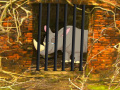 Gioco Rhino Escape