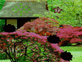 Gioco Seasonal Garden Escape