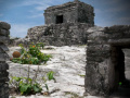 Gioco Mystery of Mayan Stone Escape