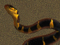 Gioco Snake 