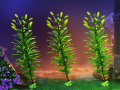 Gioco Three Puzzle Plants