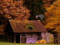 Gioco Mysterious Turkey Forest Escape 