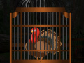 Gioco Thanksgiving Turkey Cage Escape