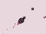 Gioco The Avian Mortar