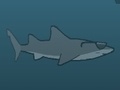 Gioco New York Shark