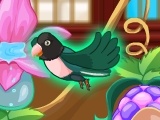 Gioco My Sweet Bird