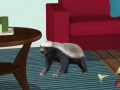 Gioco Little Badger Room Escape