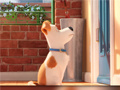 Gioco Hidden Letters in The Secret Life of Pets