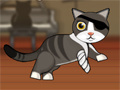 Gioco Pirate Cat With Broken Leg
