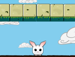 Gioco Coniglio di salto 