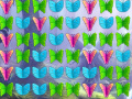 Gioco Butterfly Collector