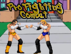 Gioco Pro combattimento combattimento 