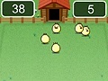 Gioco Corral chickens in a chicken coop