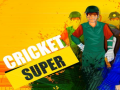 Gioco Super Cricket      