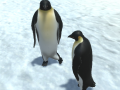 Gioco The littlest penguin