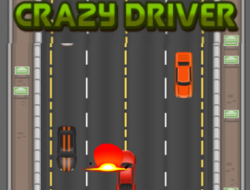Gioco Driver pazzo 