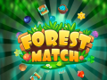 Gioco Forest Match