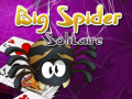 Gioco Big Spider Solitaire
