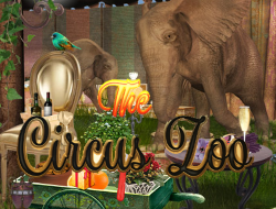 Gioco Lo zoo del circo 
