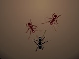 Gioco Ants Arena
