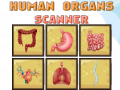 Gioco Human Organs Scanner