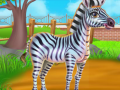 Gioco Zebra Caring