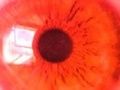 Gioco Hypnosis