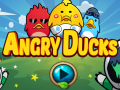 Gioco Angry Ducks