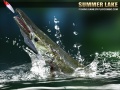 Gioco Summer Lake 1.5