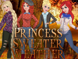 Gioco  Princess maglione tempo