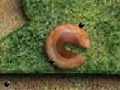 Gioco Eggs Escape
