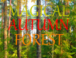 Gioco Foresta magica d'autunno 