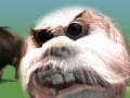 Gioco Yeti bloody