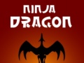 Gioco Ninja Dragon