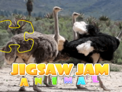Gioco Animale in Jigsaw Jam