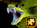Gioco Snake Puzzle Challenge