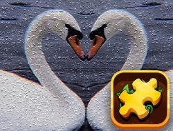 Gioco Swan Puzzle Challenge